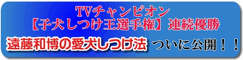 TVチャンピオン子犬しつけ王選手権連続優勝　遠藤和博の愛犬しつけ法ついに公開！！